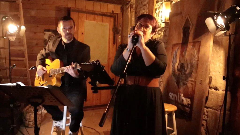 Concert et soirée privée à la maison : duo de musicien voix guitare à Valence dans la Drôme